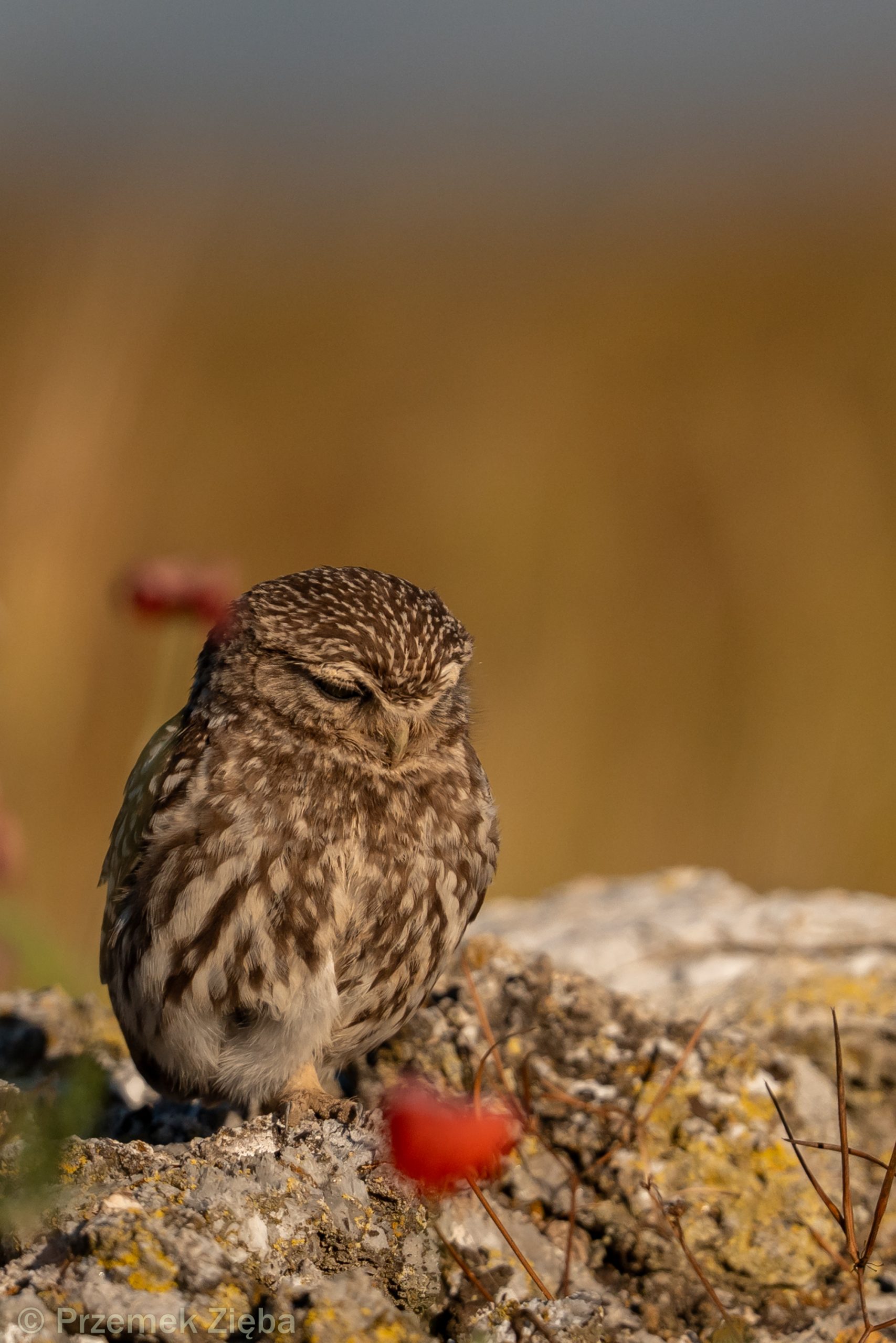 O czym i dla kogo….