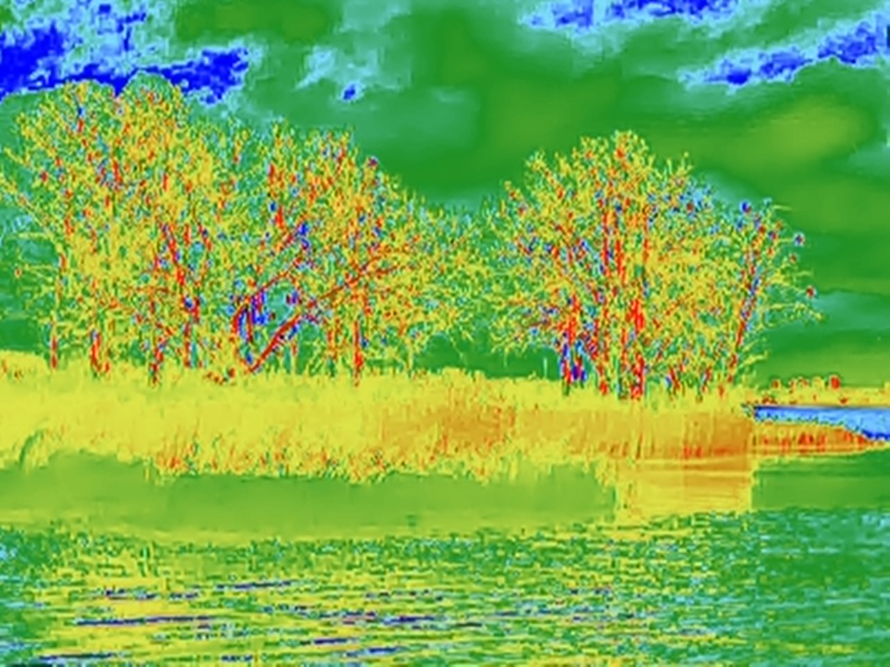 Kamera termowizyjna, czyli czy warto odpuścić zakup drogich gadżetów do obserwacji zwierząt.
